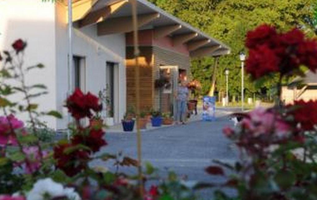 Camping Au Bord De L'Aisne Guignicourt Exterior foto